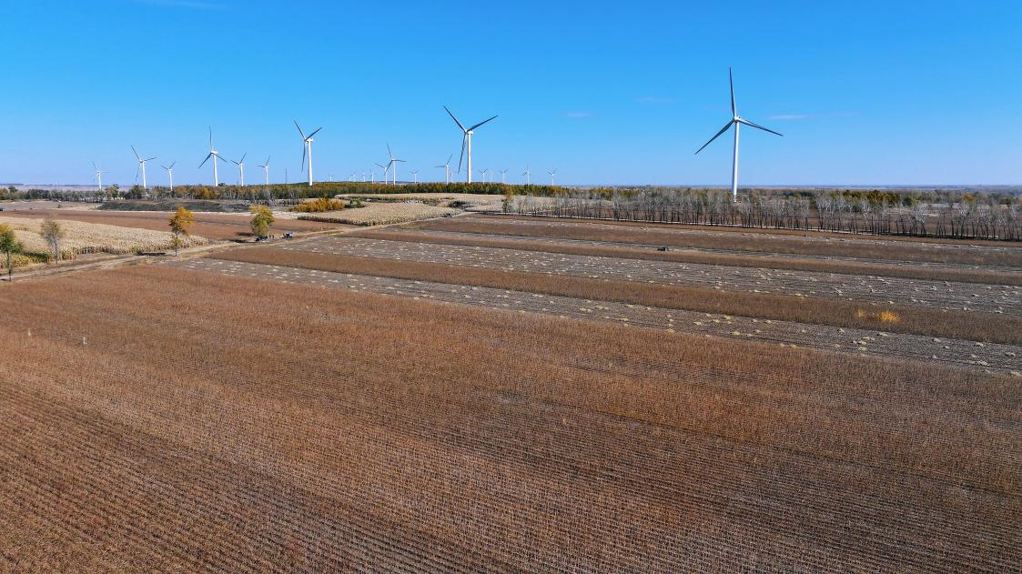 1700118177347287.png 圖片1.png